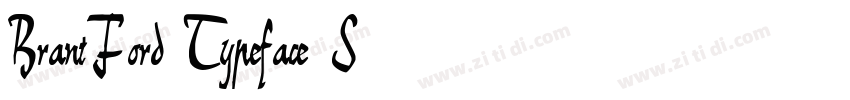 BrantFord Typeface S字体转换